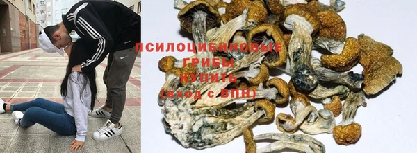 меф Краснослободск