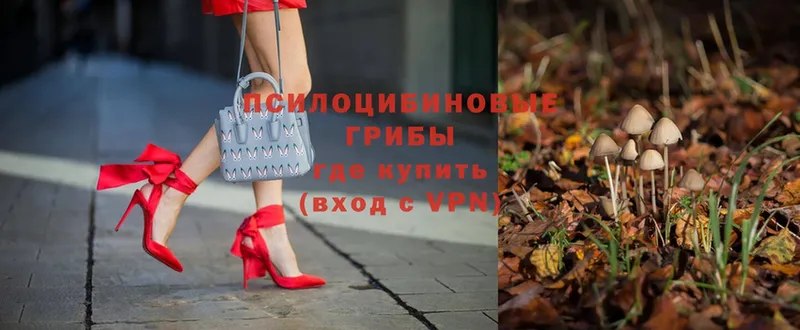 где можно купить   Улан-Удэ  Псилоцибиновые грибы мухоморы 