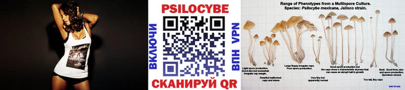 как найти закладки  Улан-Удэ  Галлюциногенные грибы Magic Shrooms 