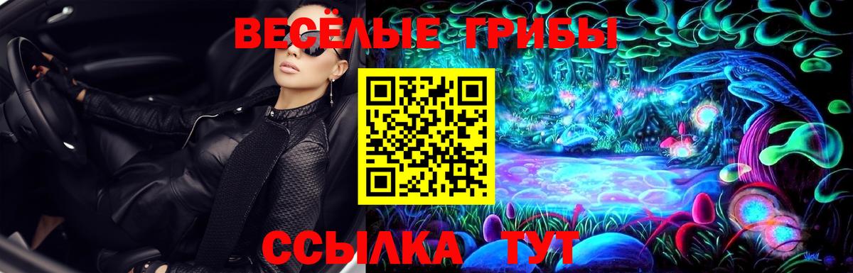 Псилоцибиновые грибы мицелий Улан-Удэ