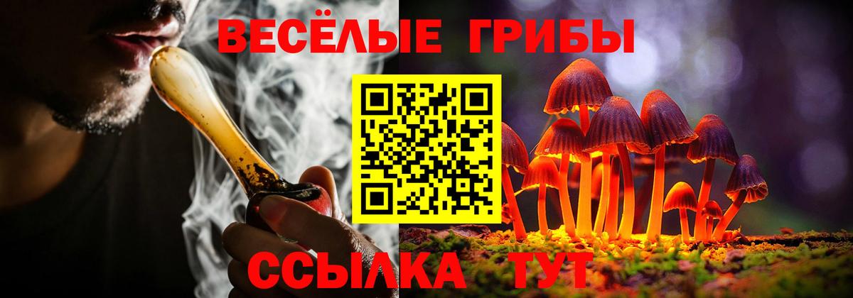 Псилоцибиновые грибы ЛСД  Псилоцибиновые грибы мухоморы  Улан-Удэ  Вход с VPN 
